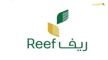 بشرى غير متوقعة.. برنامج ريف يطلق تغييرات هامة تؤثر على دخل الأسر الريفية 1